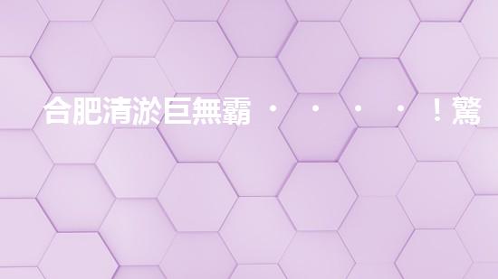 合肥清淤巨無霸！驚人設(shè)備曝光，能否解決城市泥潭難題？